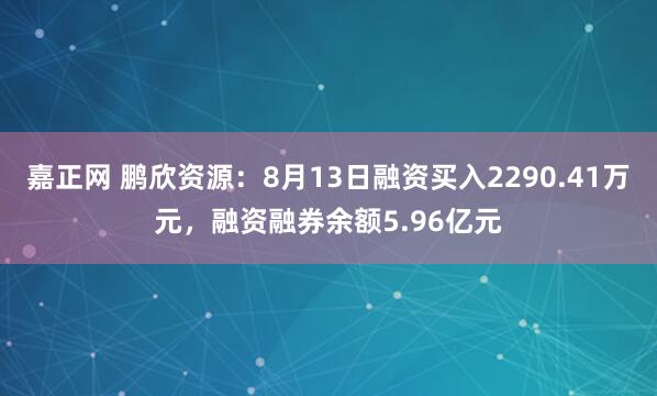 嘉正网 鹏欣资源：8月13日融资买入2290.41万元，融资融券余额5.96亿元