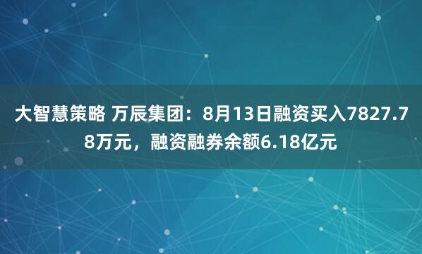大智慧策略 万辰集团：8月13日融资买入7827.78万元，融资融券余额6.18亿元