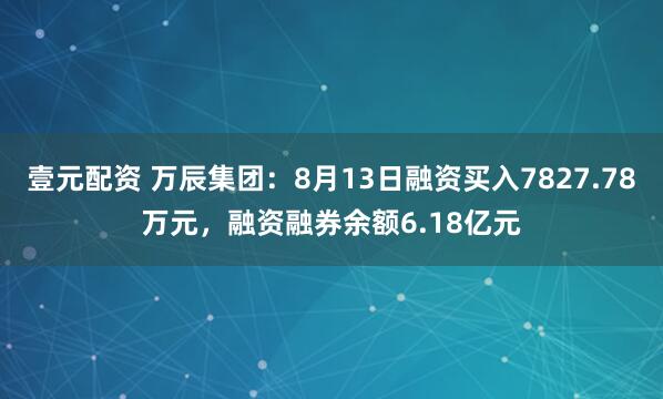 壹元配资 万辰集团：8月13日融资买入7827.78万元，融资融券余额6.18亿元