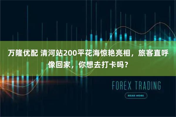 万隆优配 清河站200平花海惊艳亮相，旅客直呼像回家，你想去打卡吗？